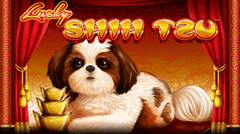 นักเล่นเกมสล็อตทาสหมาต้องไม่พลาด Lucky Shihtzu Slotxo 