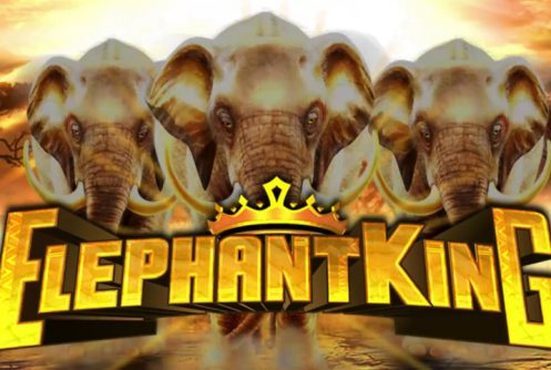 Elephant King สล็อต slotxo เล่นจริงจ่ายจริงกว่า 1000 เท่า